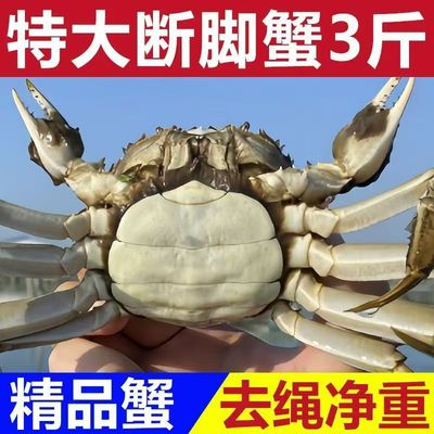 净重3斤1斤缺腿断腿蟹残次蟹残蟹大闸蟹现货鲜活公母螃蟹全母特大