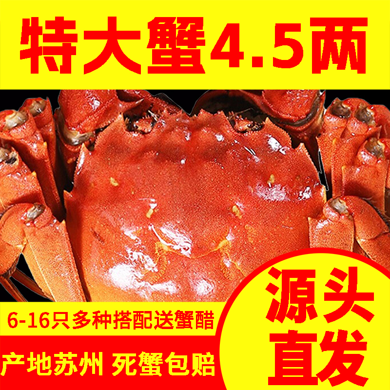全母苏州螃蟹鲜活大闸蟹礼盒装全母蟹新鲜河蟹16-6只可公母湖蟹