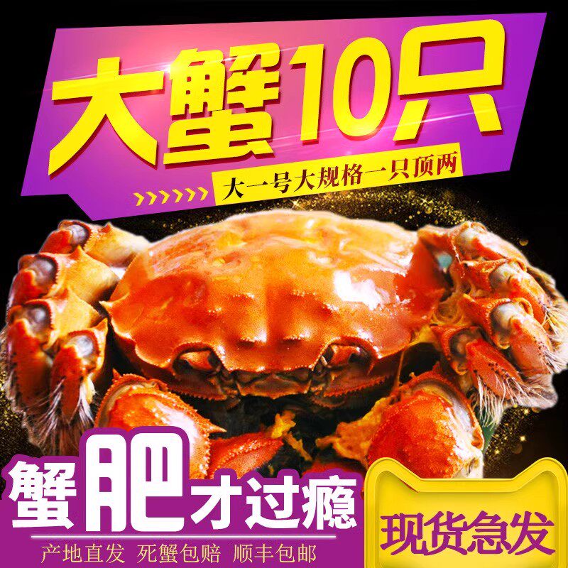 净重活蟹10只2-2.5两全母大闸蟹鲜活螃蟹河蟹特大礼盒现货
