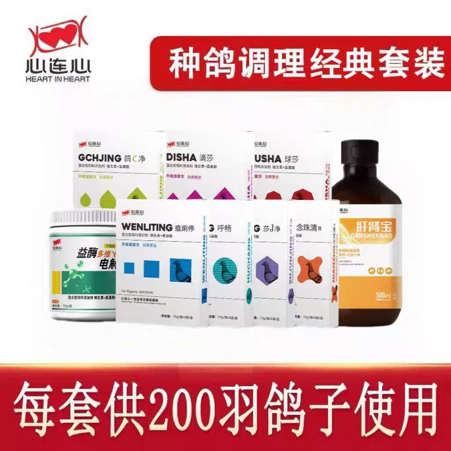 心连心种鸽调理套装育雏鸽子