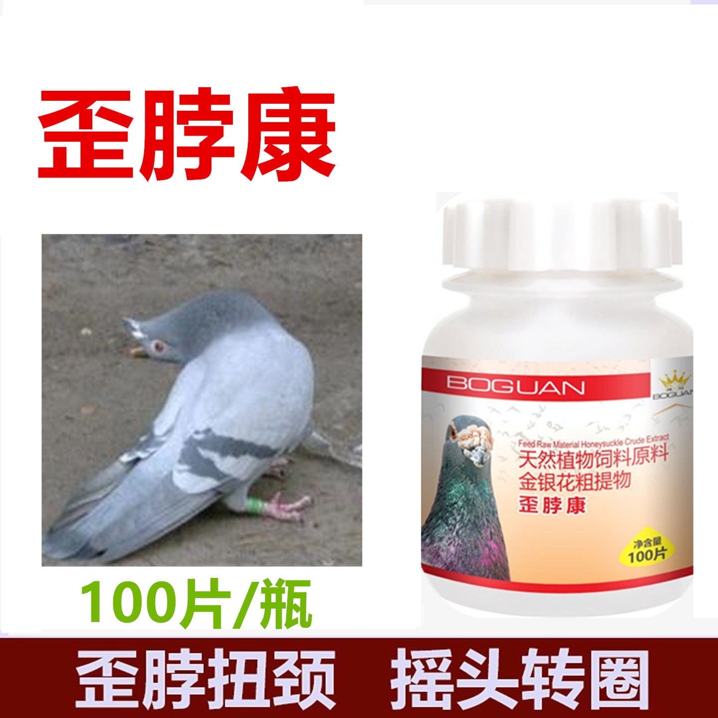 搏冠歪脖康歪脖速康新城沙门甩头转圈歪头摇头鹦非鸽药鸽子药大全