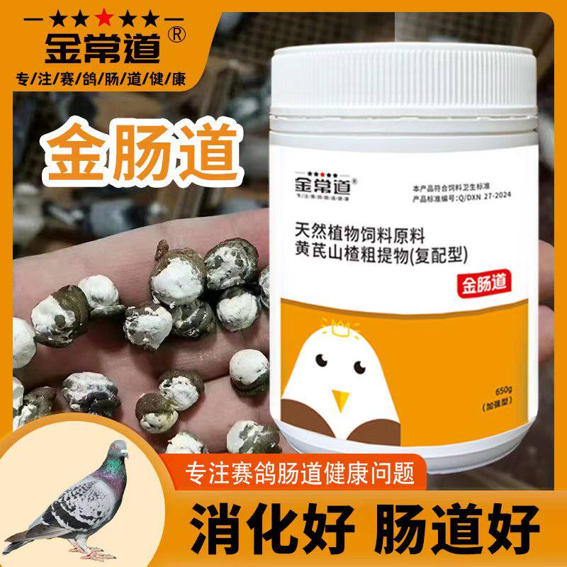鸽子水便鸽子药飞戈金肠道金常道