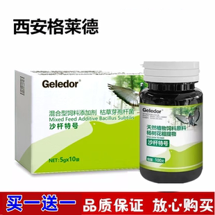 格莱德沙杆特号粉剂赛鸽沙门水便保健水绿便肠道调理非鸽药