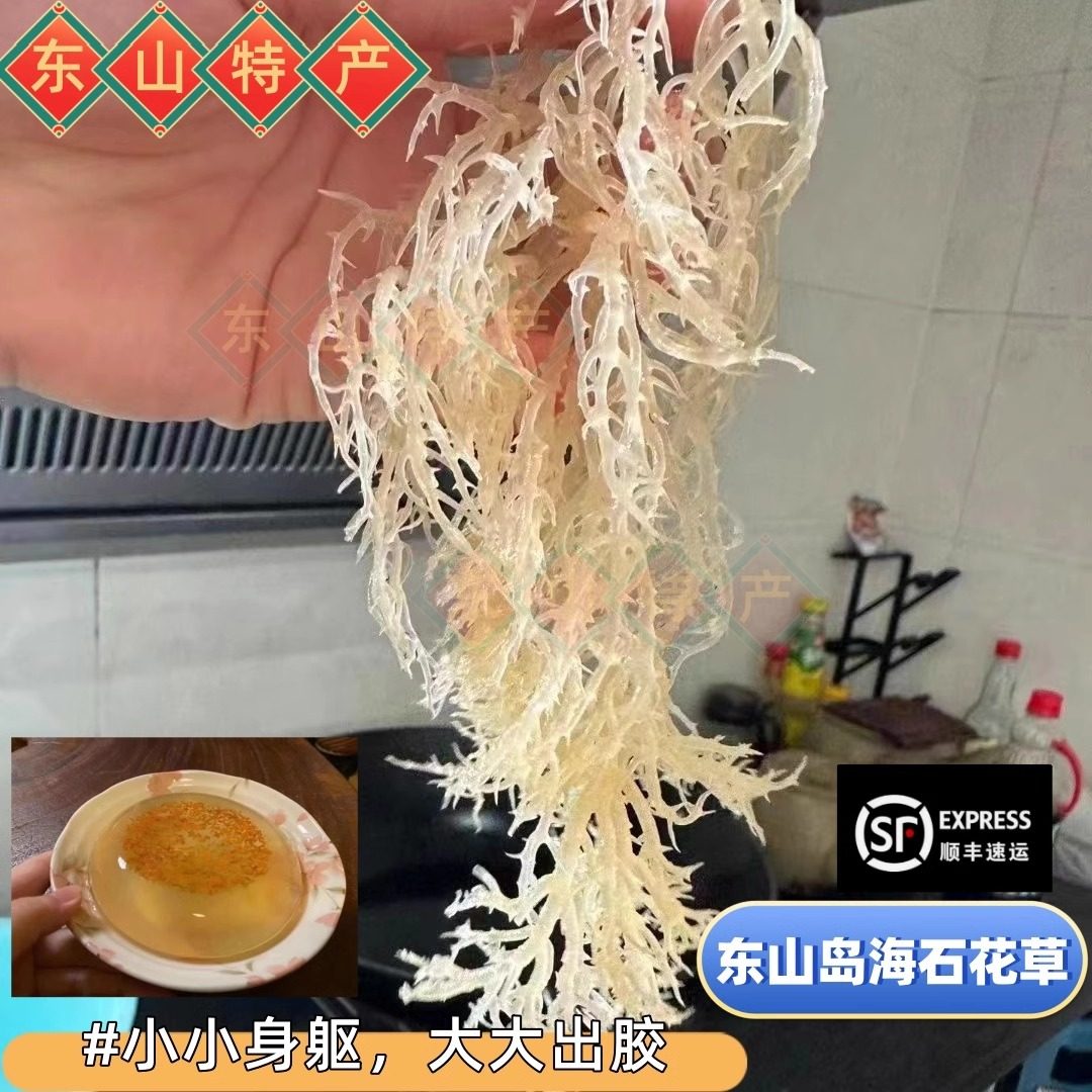 东山特产海石花四果汤石花膏原料