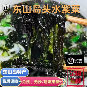 福建东山岛头水紫菜东山岛特产
