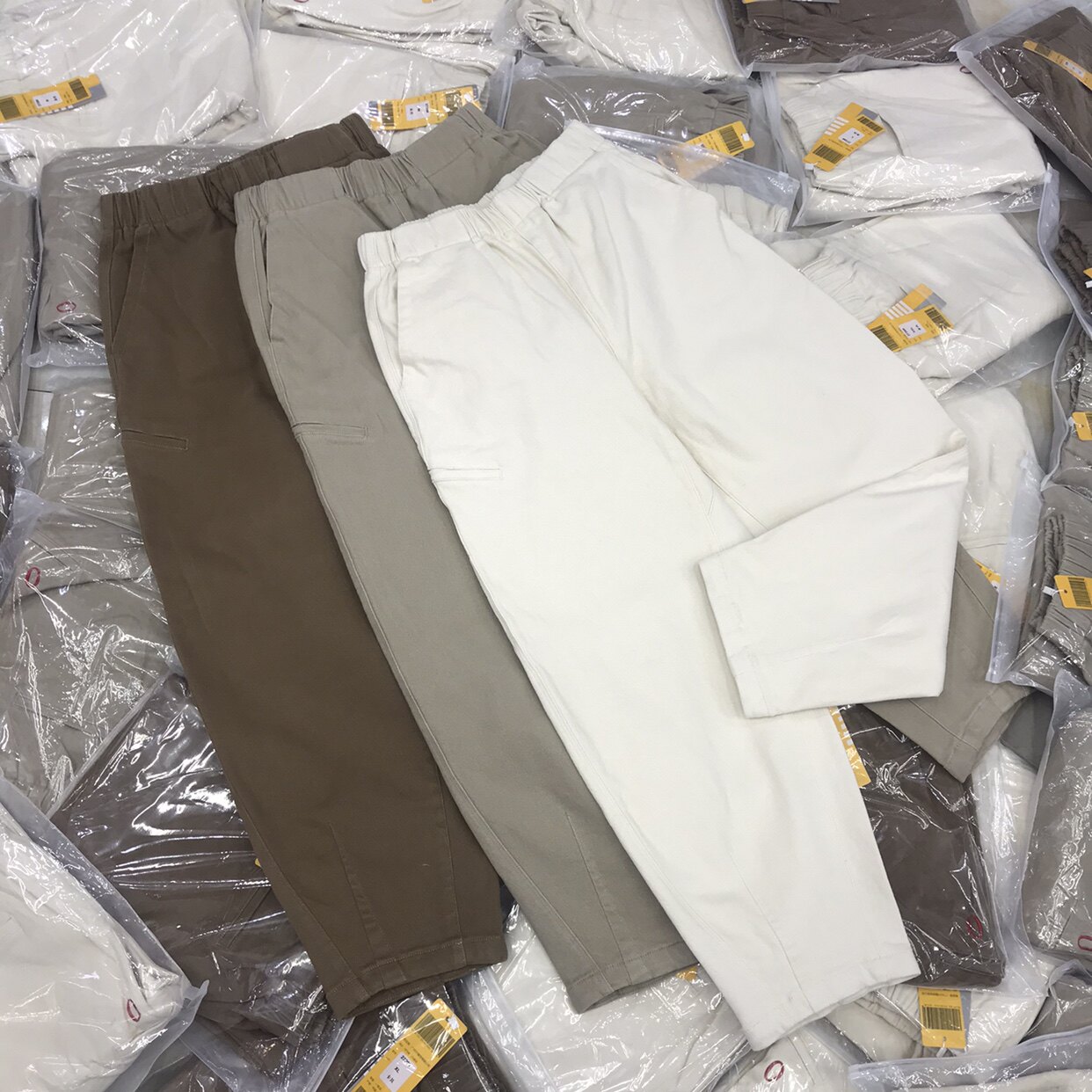 秋冬3H新款2720高腰弹力纯棉抓绒哈伦裤全松紧腰休闲宽松百搭女裤