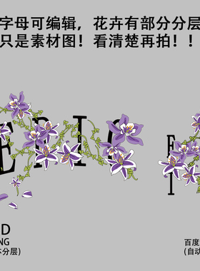 新款紫色花卉图案2025新款印花潮流T恤贴纸PNG免扣烫画素材psd图