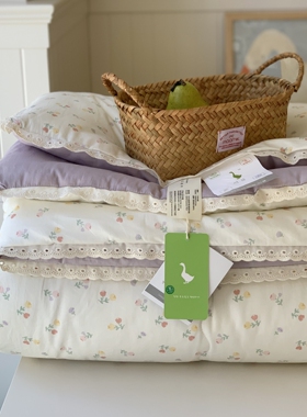 韩国大鹅双面全棉可机洗春秋被纯棉四季被可水洗暖气房秋冬被保暖