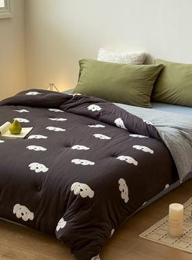 韩式双面100%全棉针织棉春秋被可机洗双人大尺寸暖气房被子柔软被