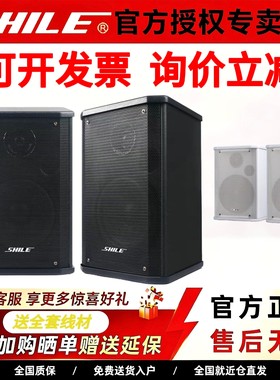 狮乐 BX101室内挂壁音箱高保真HIFI家庭影院背景音乐会议教学音响