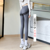 高个子鲨鱼裤 爆款 2026春秋薄款 女外穿运动瑜伽超长裤 打底裤 加长款