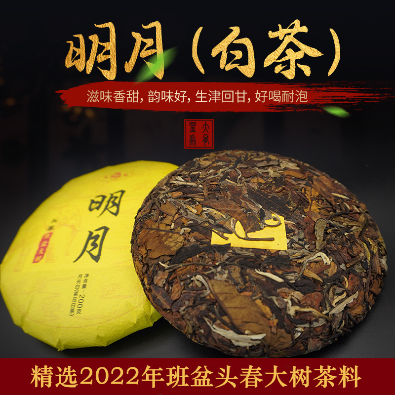 班盆头春大树白茶饼云南月光白茶