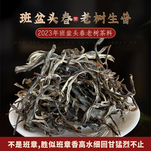 班盆头春老树普洱茶生茶手工散茶