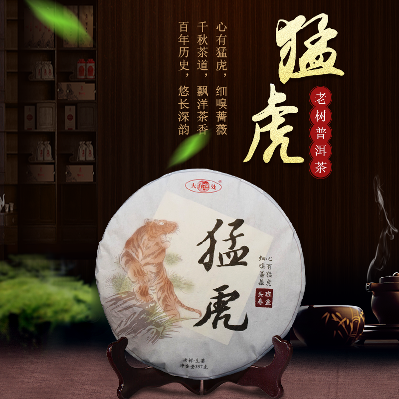普洱茶云南班盆头早春老树
