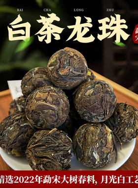 勐宋头春大树月光白茶小龙珠小沱