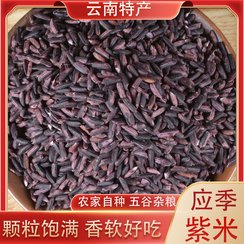 紫米500g新米云南墨江紫糯米血糯米紫米饭团材料专用米糙米饭烘焙