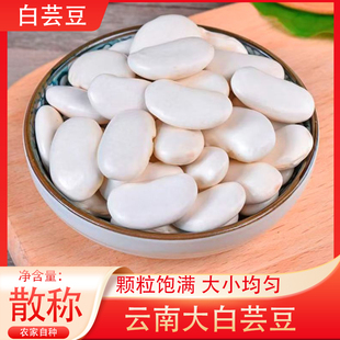 云南白芸豆干货可炖汤煮粥新货大白芸豆白腰豆大白豆干豆白芸豆