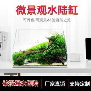 金晶五线超白微景观水陆缸桌面鱼缸透明玻璃方形可养鱼观赏生态缸