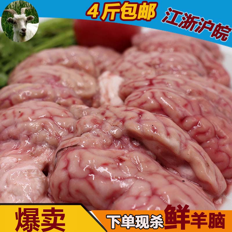 羊脑新鲜脑花火锅食材