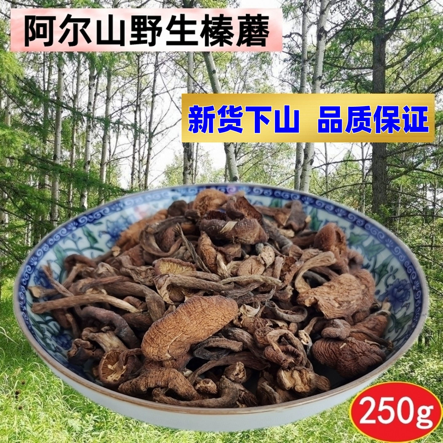阿尔山榛蘑250g包邮东北阿尔山特产野生榛栎蘑大兴安岭小鸡炖蘑菇