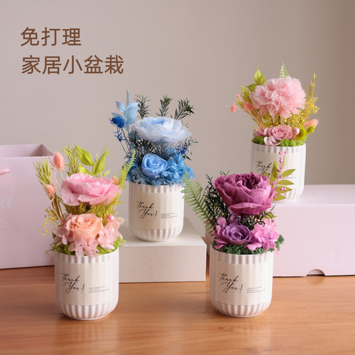 永生花真花盆栽母亲节礼物免打理