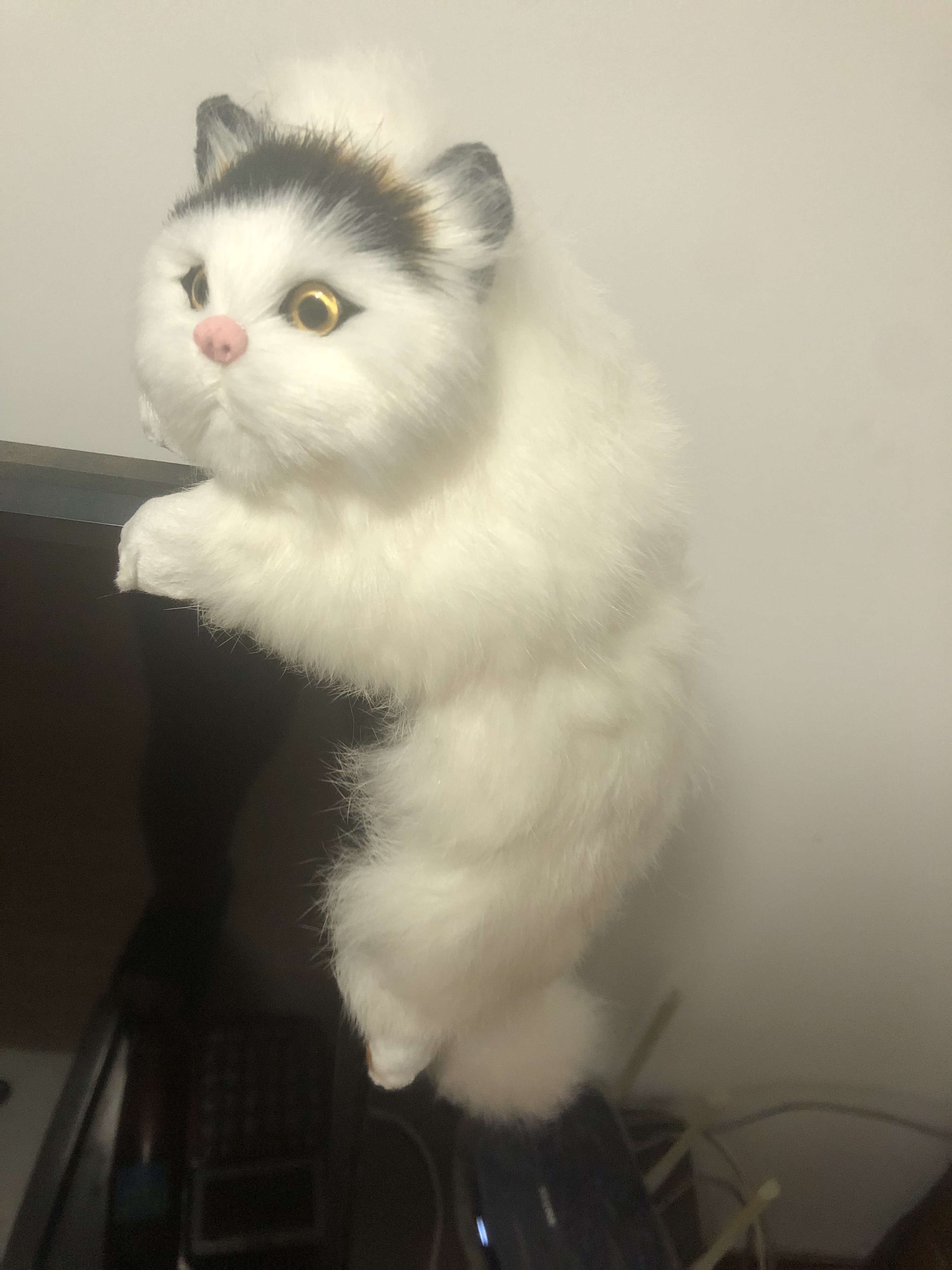 仿真猫咪趴猫动物模型皮毛工艺品玩具猫景区摆件家庭摆件猫
