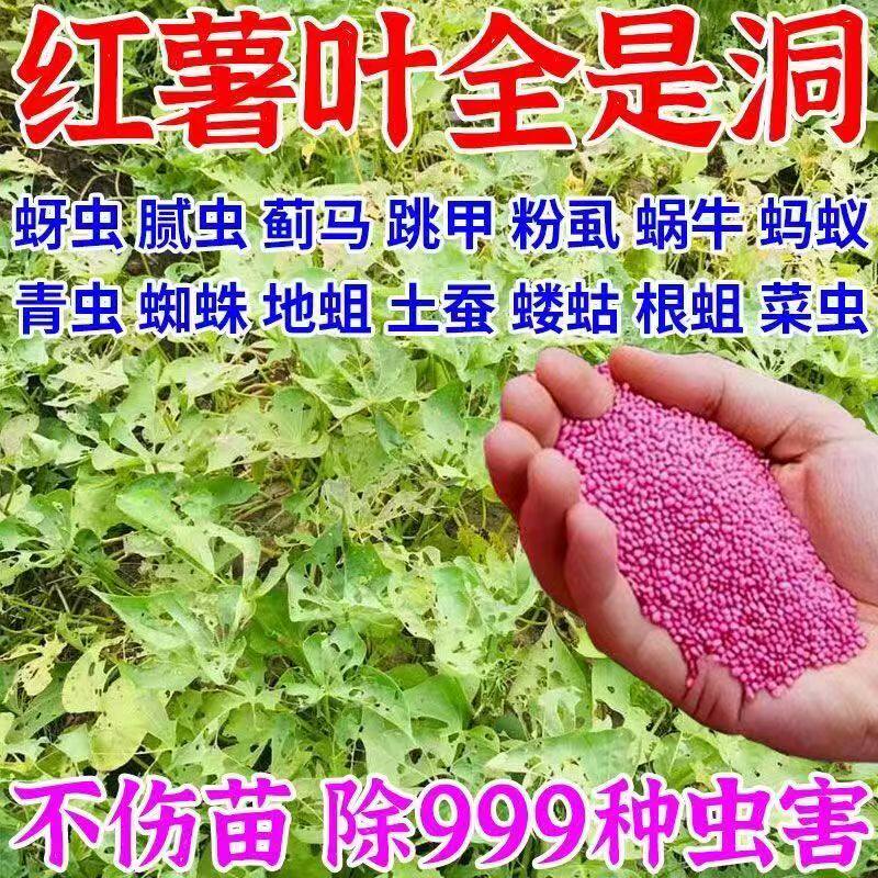 安全消杀红薯地下害虫红薯专用肥红薯防蛀虫药祛黄叶病毒病茎线虫