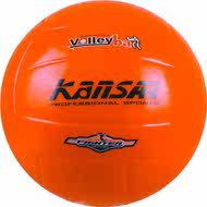 Ballon de volley-ball - Ref 2013640 Image 1