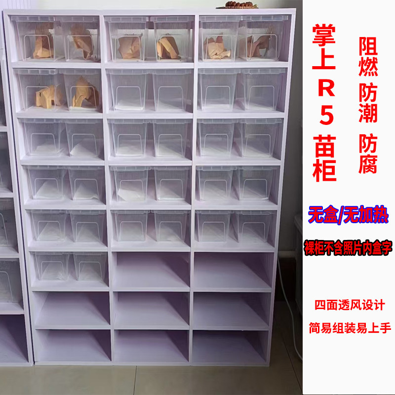 掌上明珠R5爬宠柜睫角幼苗饲养爬宠缸/箱