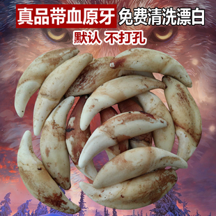 真狗牙狗牙吊坠牙齿天然藏獒牙男士项链黑狗牙手链包银牙套脚链狼