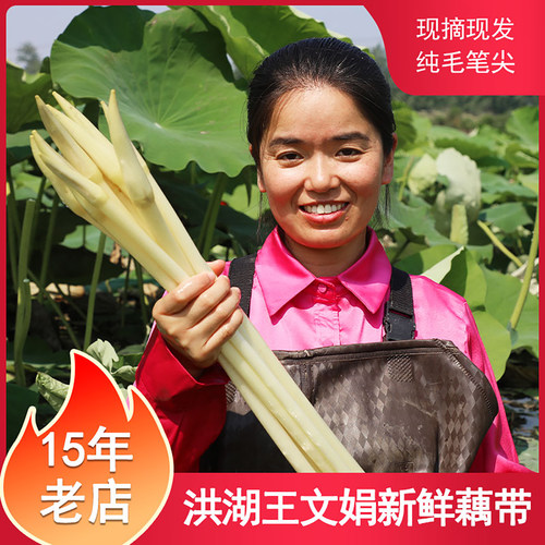 洪湖王文娟新鲜藕带顺丰快递现挖嫩藕占湖北特产藕尖藕肠子纯笔簪