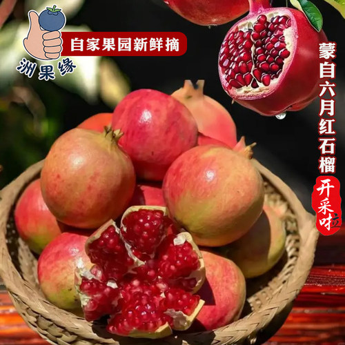 蒙自石榴六月红早熟皮薄汁多香甜