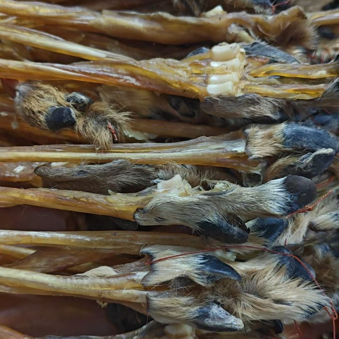 【梅花鹿蹄筋】保真正宗梅花鹿蹄筋500g带蹄毛蹄甲一体无粘接包邮