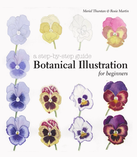 y107植物艺术插画绘画初学者教程botanical illustration