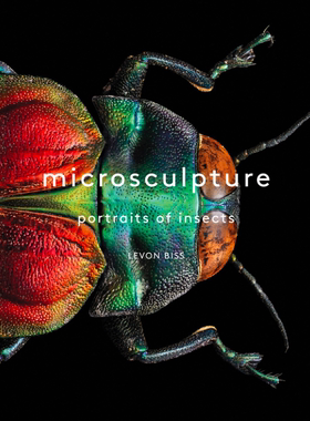 Y99昆虫微摄影艺术 Microsculpture