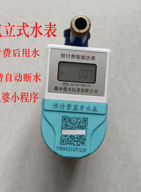 立式扫码包租婆出租屋蓝牙公寓