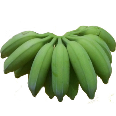 包邮广东高州香蕉水果新鲜banana无催熟剂非米蕉粉蕉海南芭蕉5斤