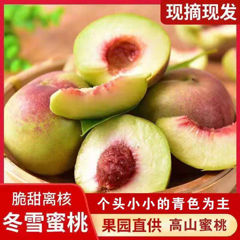 正宗山东冬桃青州蜜桃青皮桃子脆桃离核蜜桃新鲜应季水果现摘现发