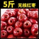 新货无核红枣5斤沧州金丝小枣空心去核红枣干 零食煮粥打豆浆 包邮