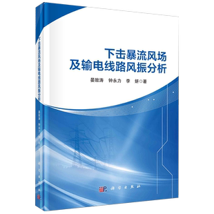 下击暴流风场及输电线路风振分析