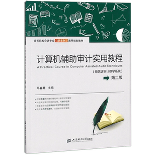 计算机辅助审计实用教程(鼎信诺审计教学系统第2版高等院校会计专业新准则通用规划教材