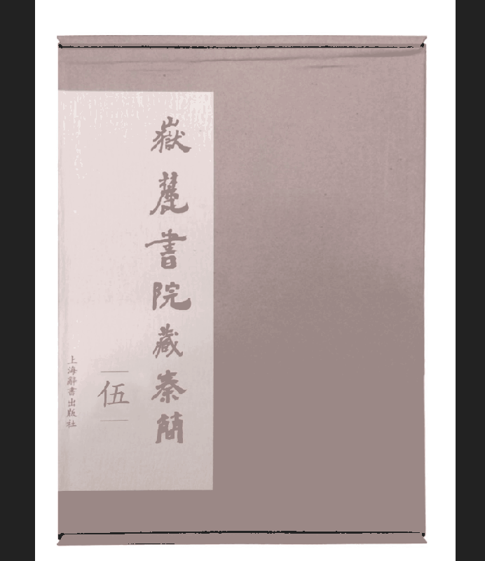 岳麓书院藏秦简(5)(精)