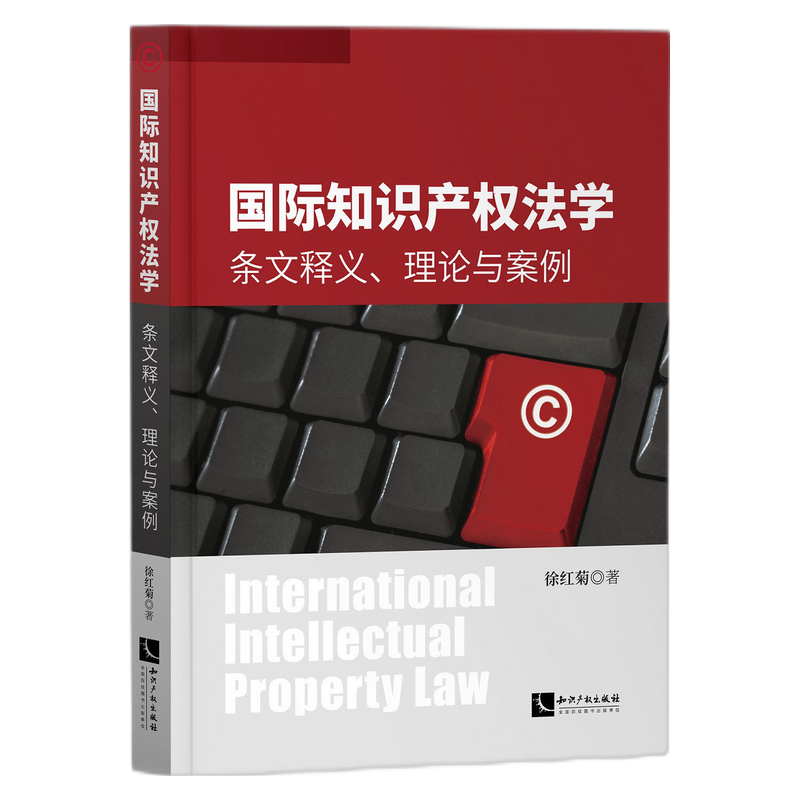国际知识产权法学:条文释义、理论与案例