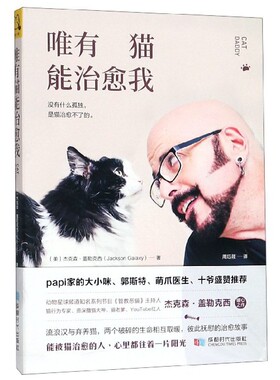 唯有猫能治愈我