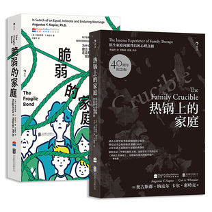 热锅上的家庭+脆弱的家庭 [美]奥古斯都·纳皮尔 两册套装 一个人或许无法突破原生家庭但一家人可以
