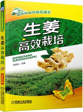 生姜高效栽培(双色印刷)/高效种植致富直通车