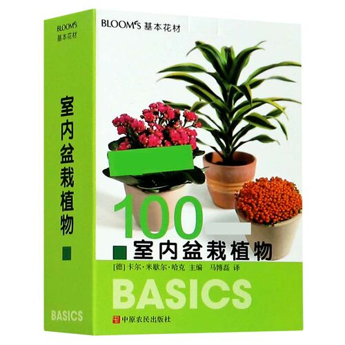 室内盆栽植物(BLOOM'S基本花材)
