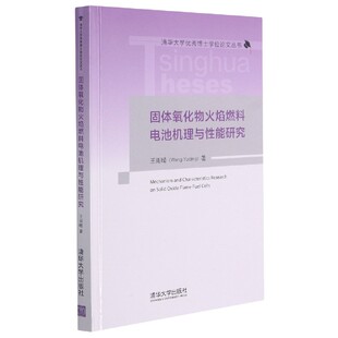 固体氧化物火焰燃料电池机理与性能研究 清华大学优秀博士学位论文丛书 精
