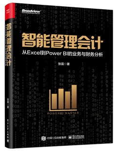 全彩 业务与财务分析 智能管理会计：从Excel到Power