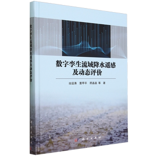 数字孪生流域降水遥感及动态评价